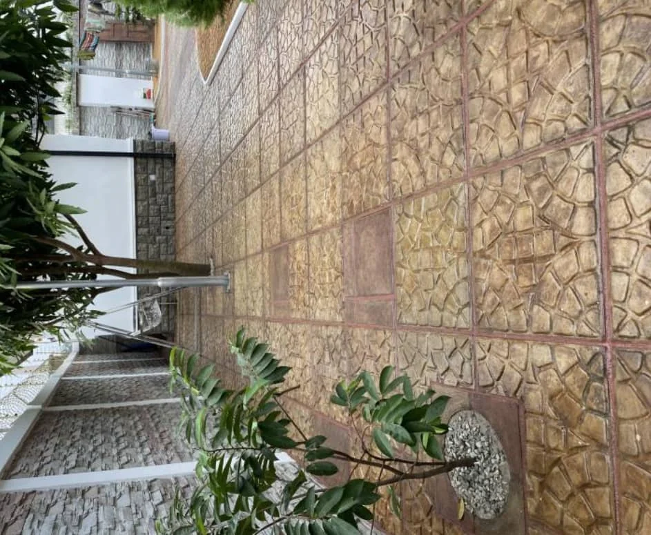 Modern landscaped garden with structured planting design